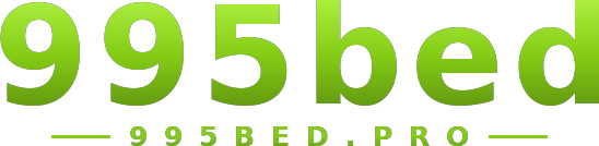 995bed logo